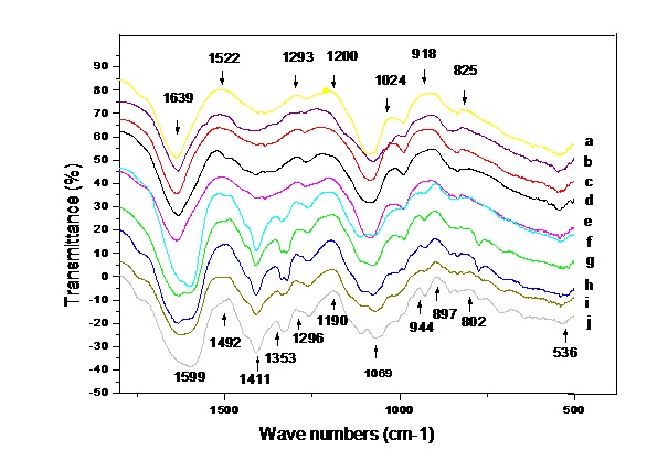 The absorbance spectra of DNA FTIR The absorbance spectra of DNA FTIR