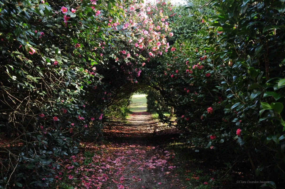 Antony Garden Antony Garden