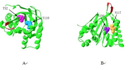 Fig 4 Fig 4