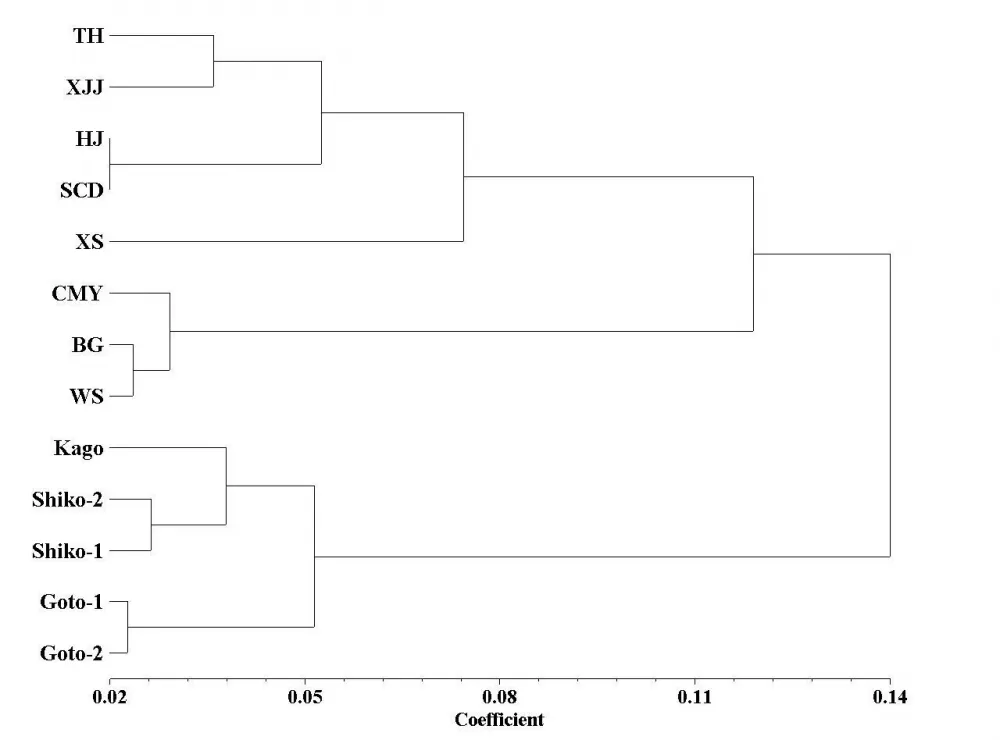 UPGMA dendrogram UPGMA dendrogram